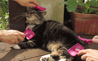 social media manager life gifs