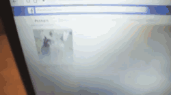 social media manager life gifs