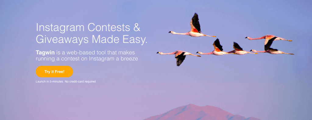 instagram marketing tool run contests giveaways web based tool tagwin