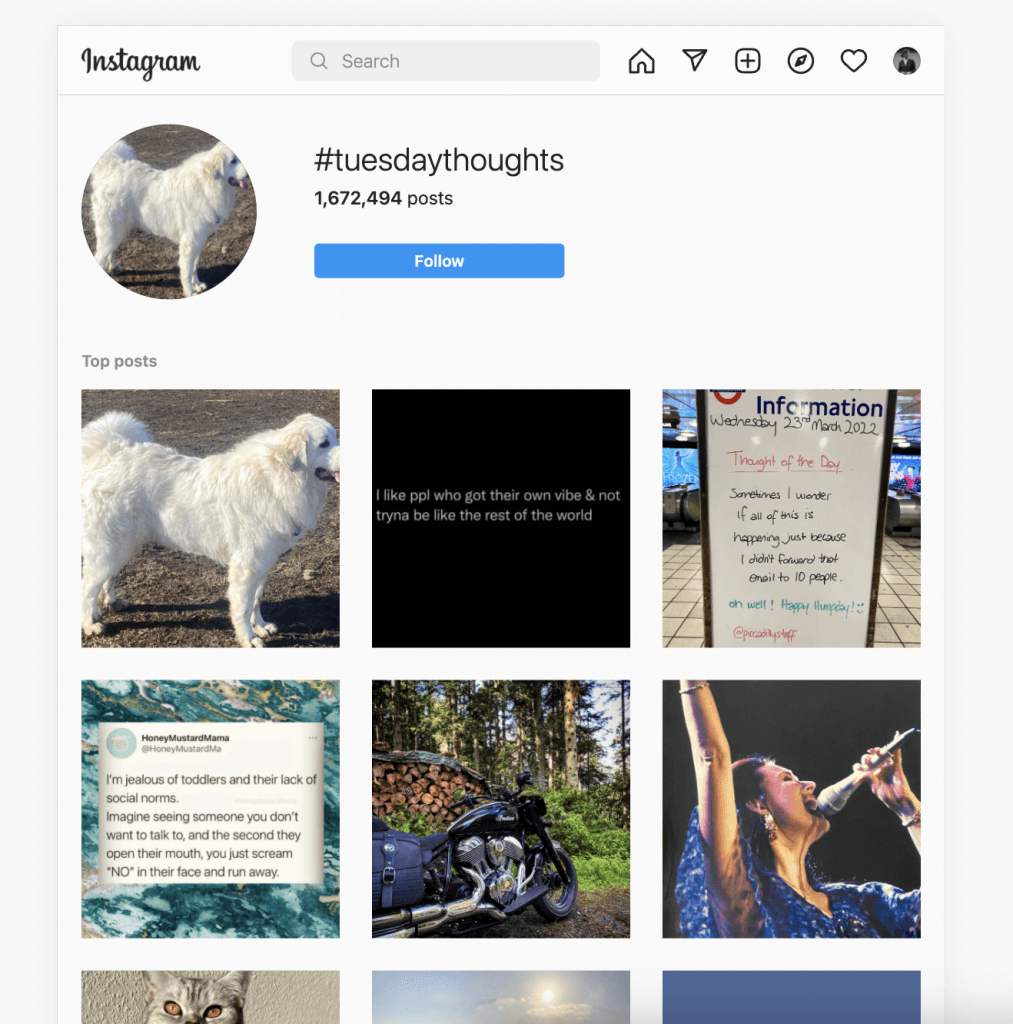 Instagram Hashtags for Each Day of the Week | Planable