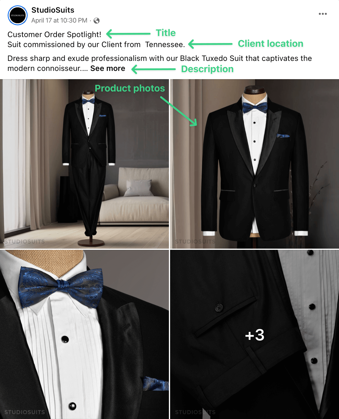 Explanatory screenshot of StudioSuits social media post highlighting style guide elements like product title, description, photos.