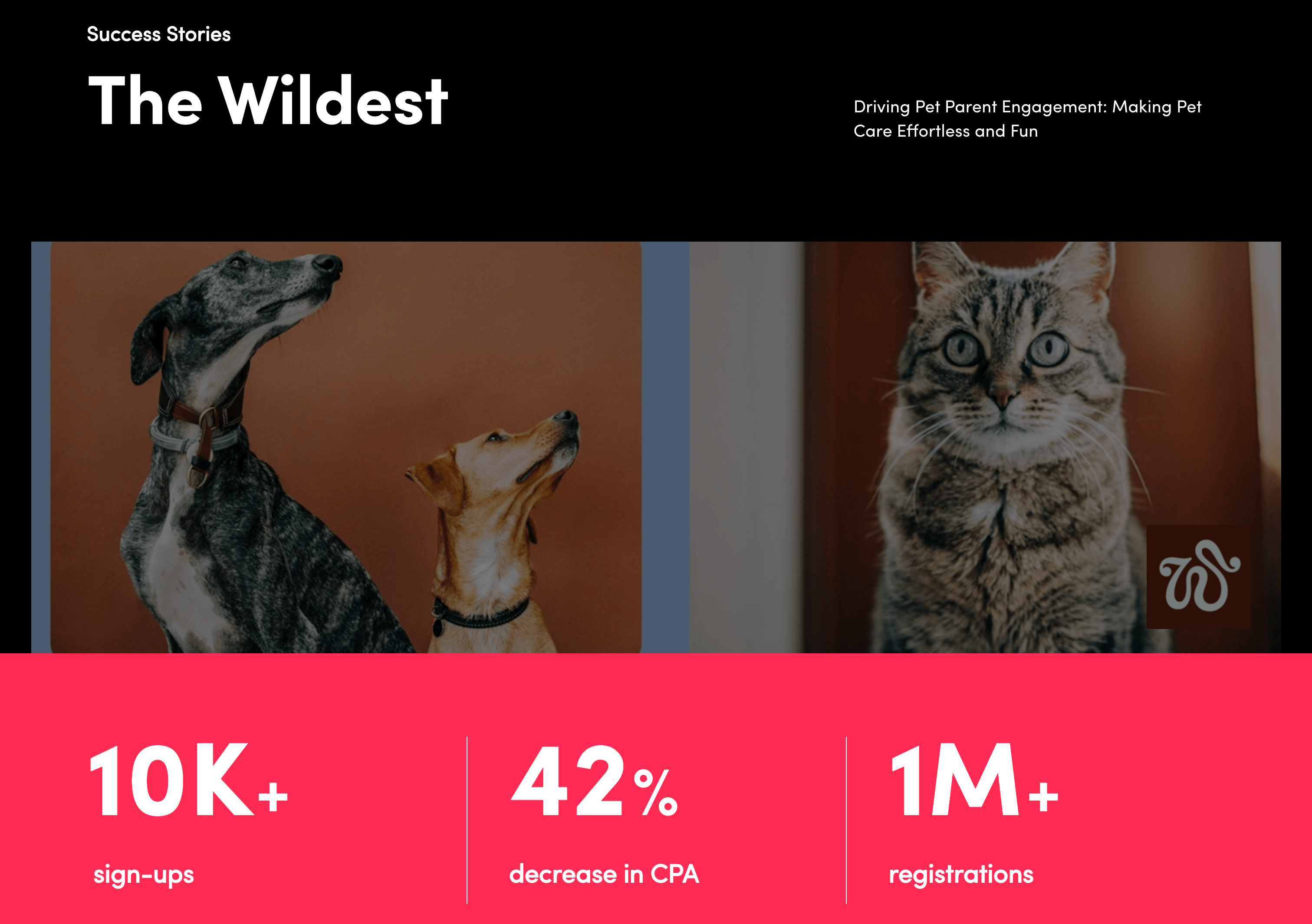 TikTok for business success story The Wildest with the motto "Driving pet parent engagement" and results like 10k+ sign-ups, 42% decrease in CPA and 1M+ registrants.