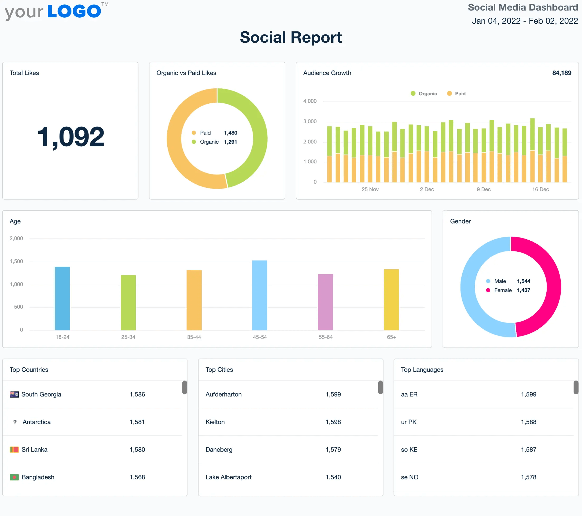 Social media dashboard showing likes, audience growth, age, gender, top countries, cities, and languages