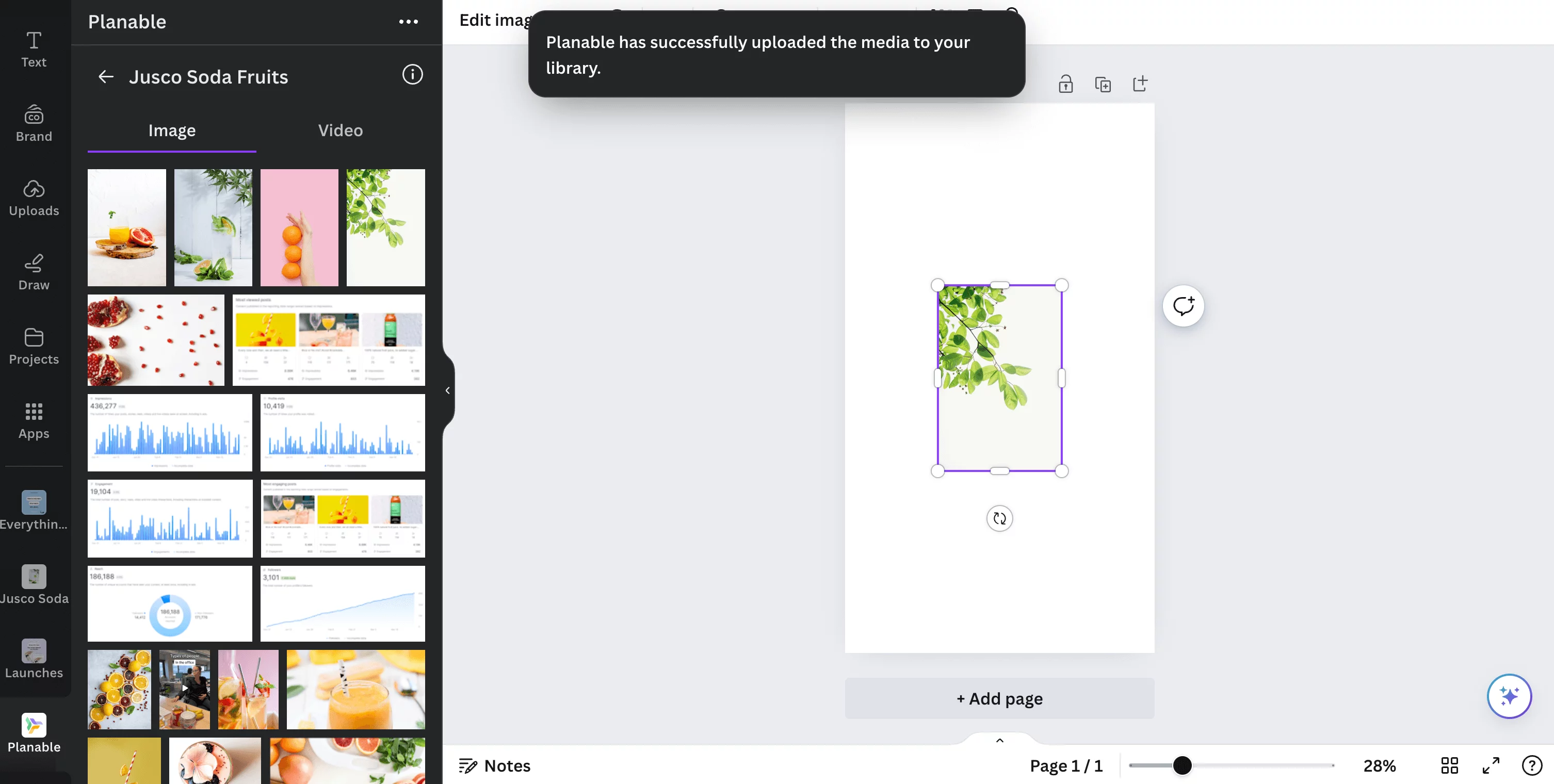 Canva dashboard showing the option to import visuals from the Planable Jusco Soda Fruits into a blank story design