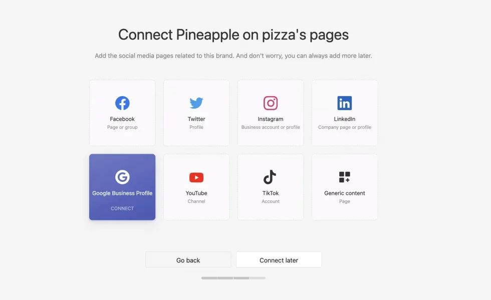 Social media connection options for Pineapple on pizza brand, including Google My Business, Facebook, Twitter, Instagram, LinkedIn, YouTube, and TikTok.