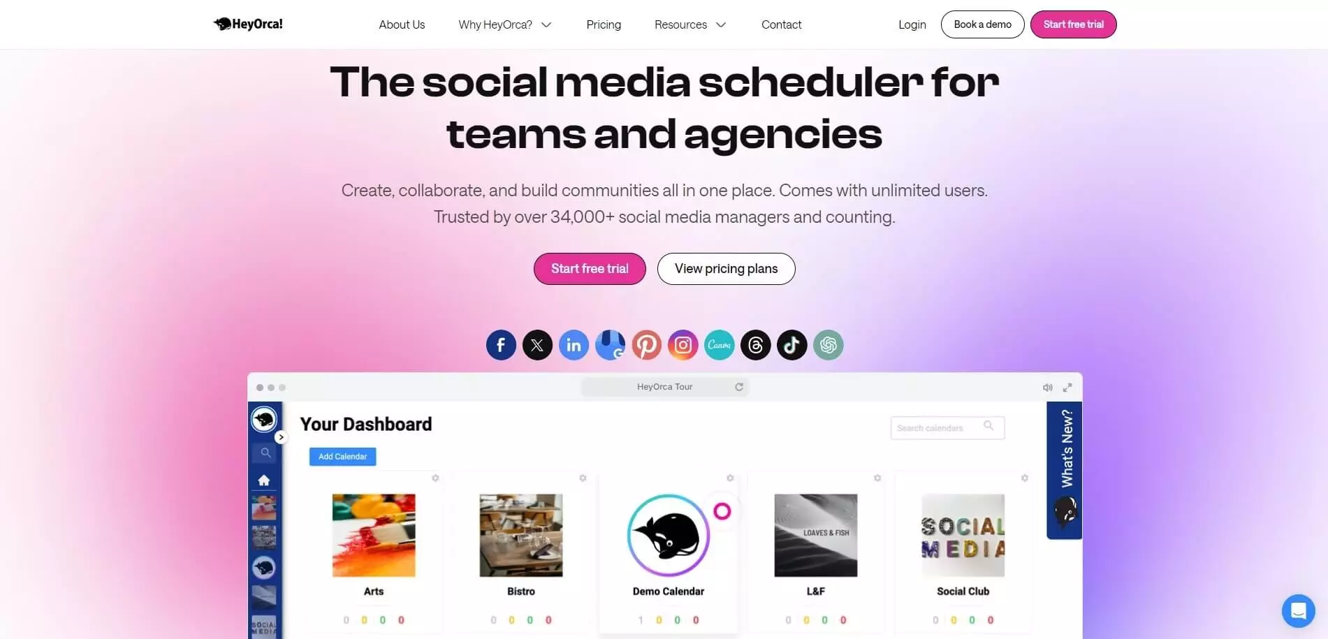 HeyOrca homepage promoting its social media scheduling tool for teams and agencies, featuring a dashboard and a free trial option.