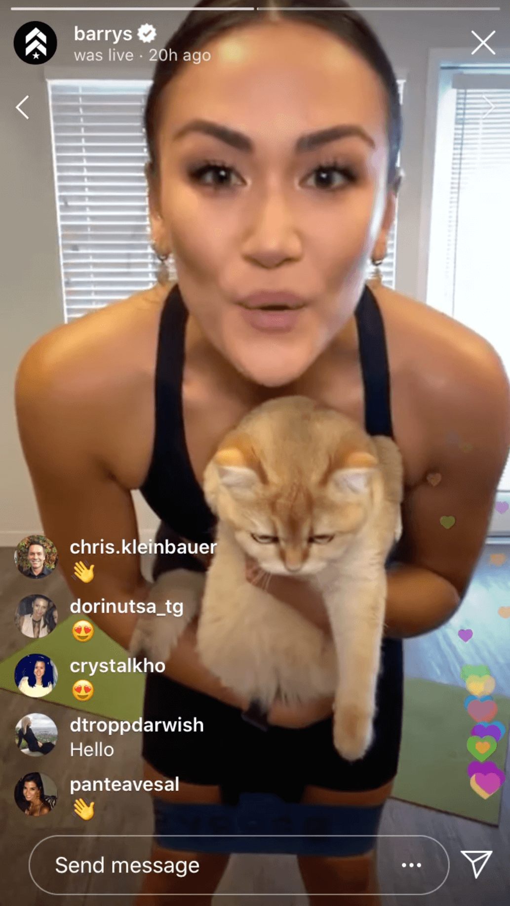 A live Instagram story from Barry's featuring a woman holding a cat, interacting with viewers through comments and emojis.