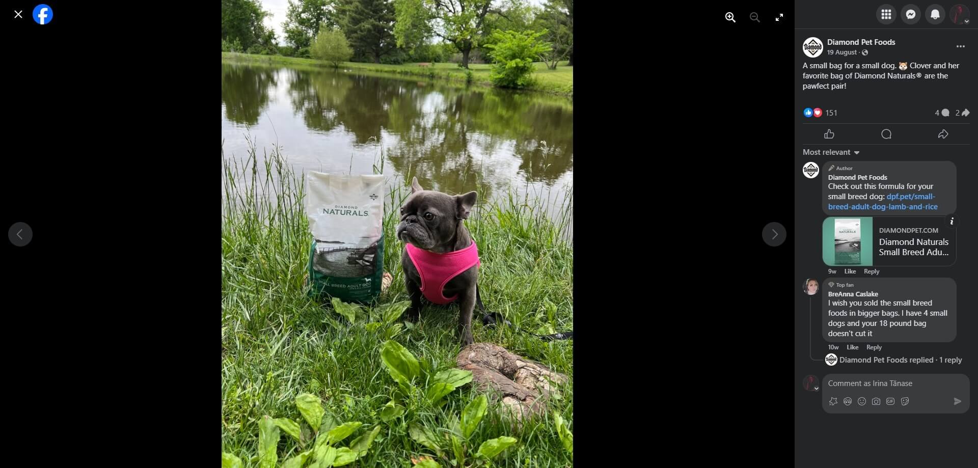 Diamond Pet Foods's Facebook post showing a french Bulldog wearing a pink harness sitting by a pond next to a bag of Diamond Naturals dog food in tall grass.