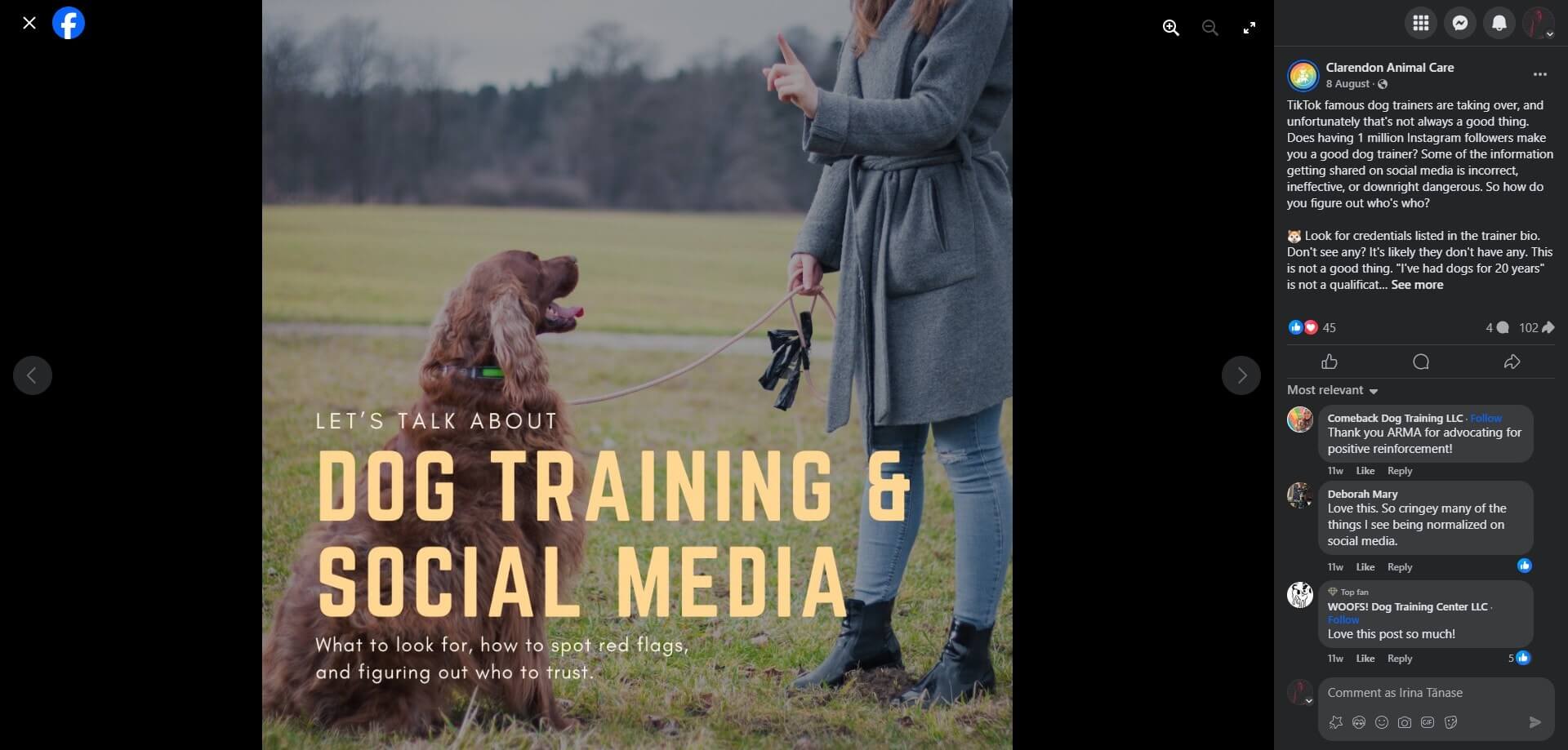 Clarendon Animal Care' post showing a dog sitting attentively in a field while a woman in a gray coat gives a hand signal, with text about dog training and social media.