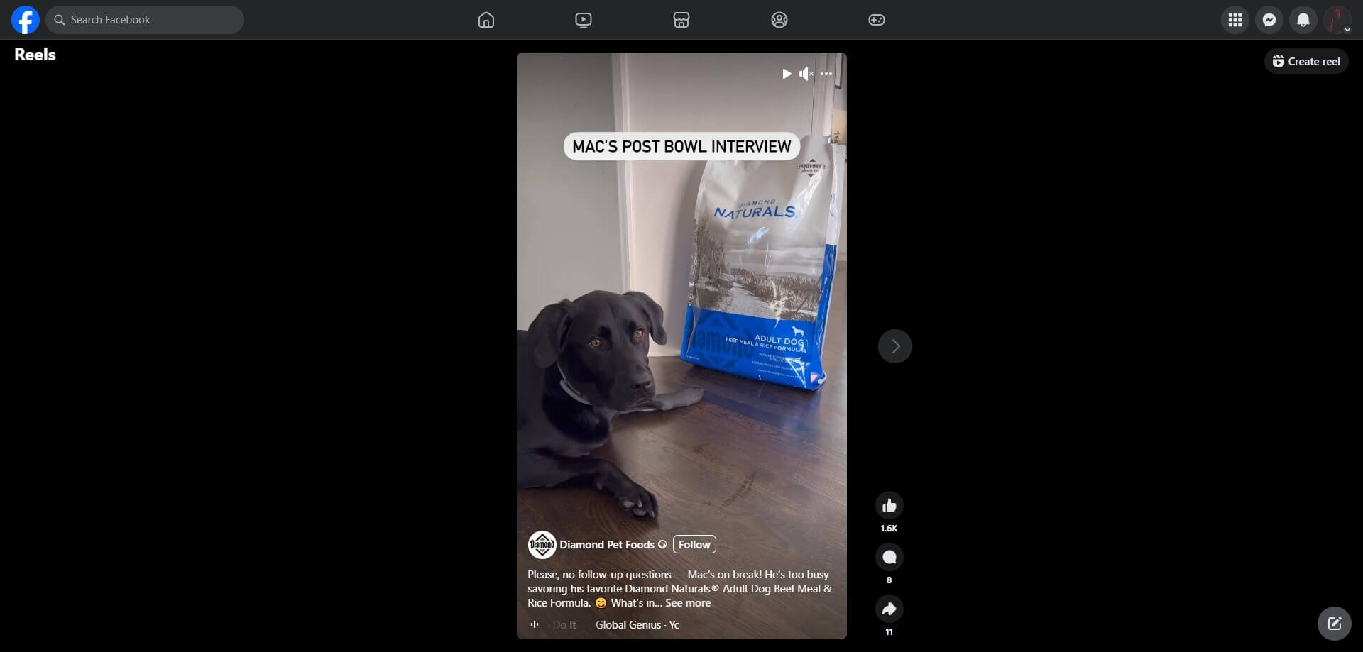 Facebook post showing a black dog lying on a wooden floor next to a bag of Diamond Naturals Adult Dog Beef Meal & Rice Formula food.