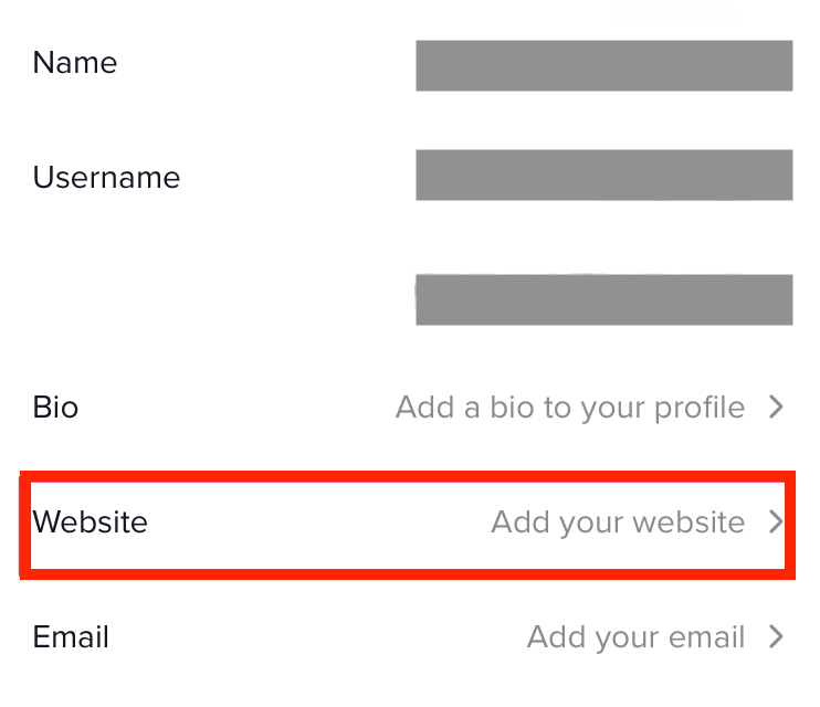 TikTok profile settings screen with highlighted option to add a website link.