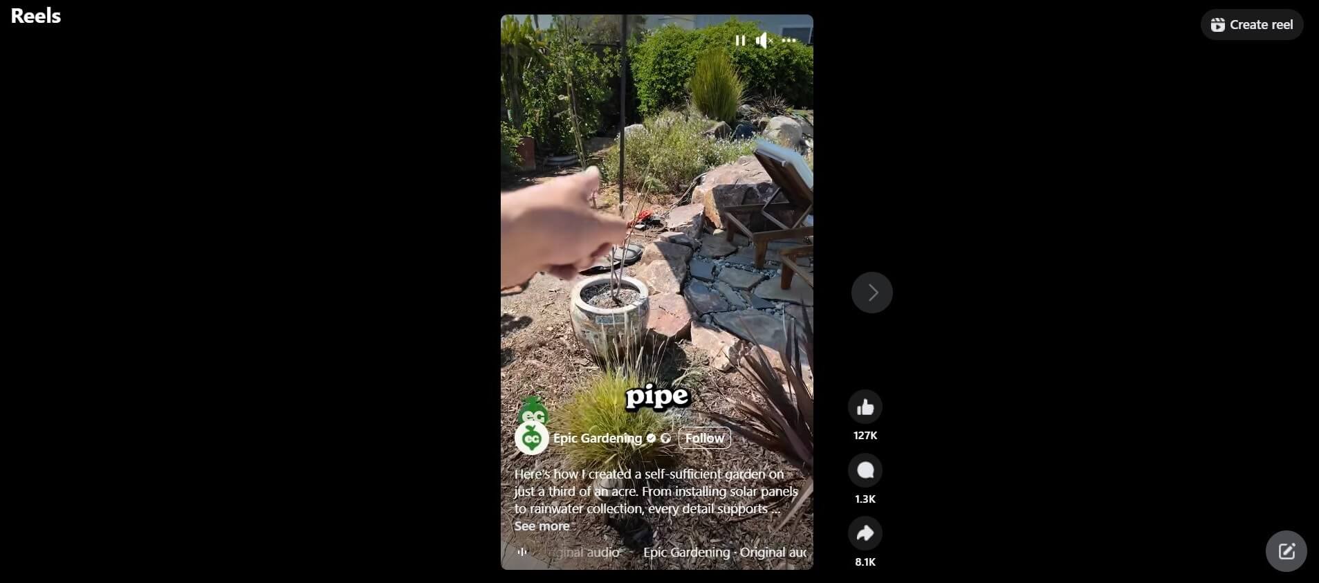 Pointing to a self-sufficient garden setup with a decorative pot, rock landscaping, and greenery in a sustainable yard design.