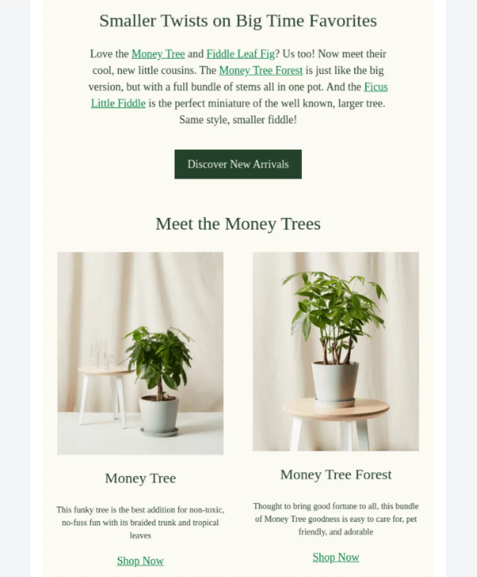 Bloomscape newsletter featuring Money Tree and Money Tree Forest plants, highlighting their unique styles and benefits, with shop links below.