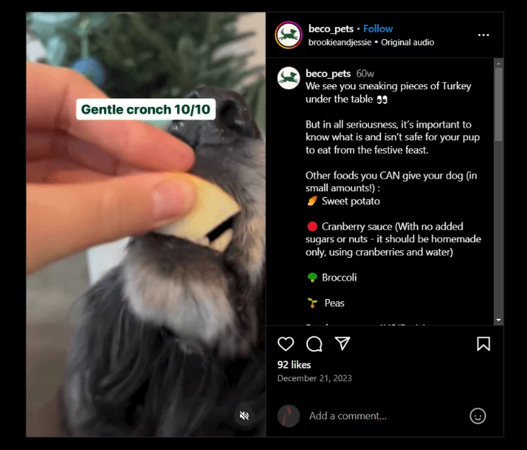 beco-pets Instagram video showing a dog gently crunching on an apple slice, with text overlay reading "Gentle cronch 10/10" and a festive pet food guide.