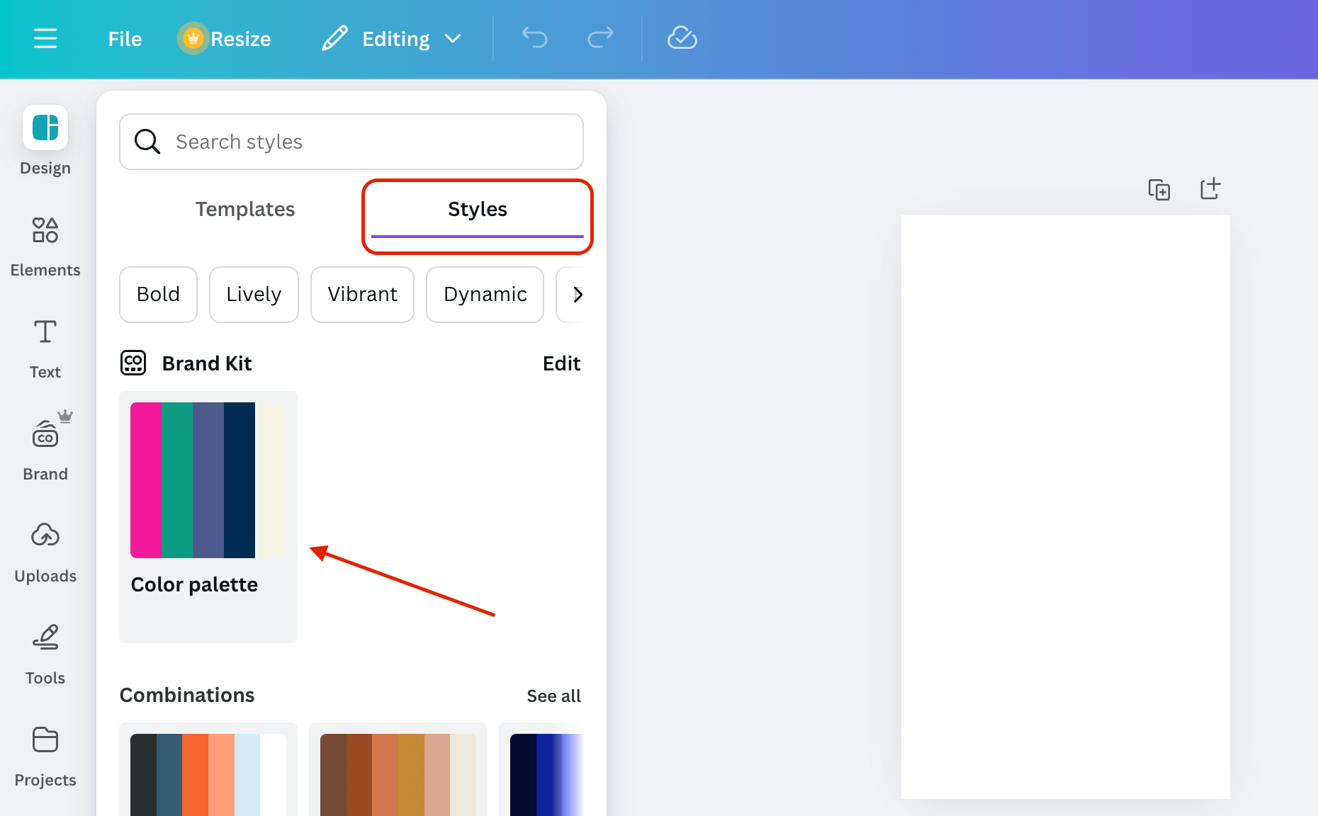Canva design interface with the Styles tab open, showing brand assets and applying consistent branding to a social media post