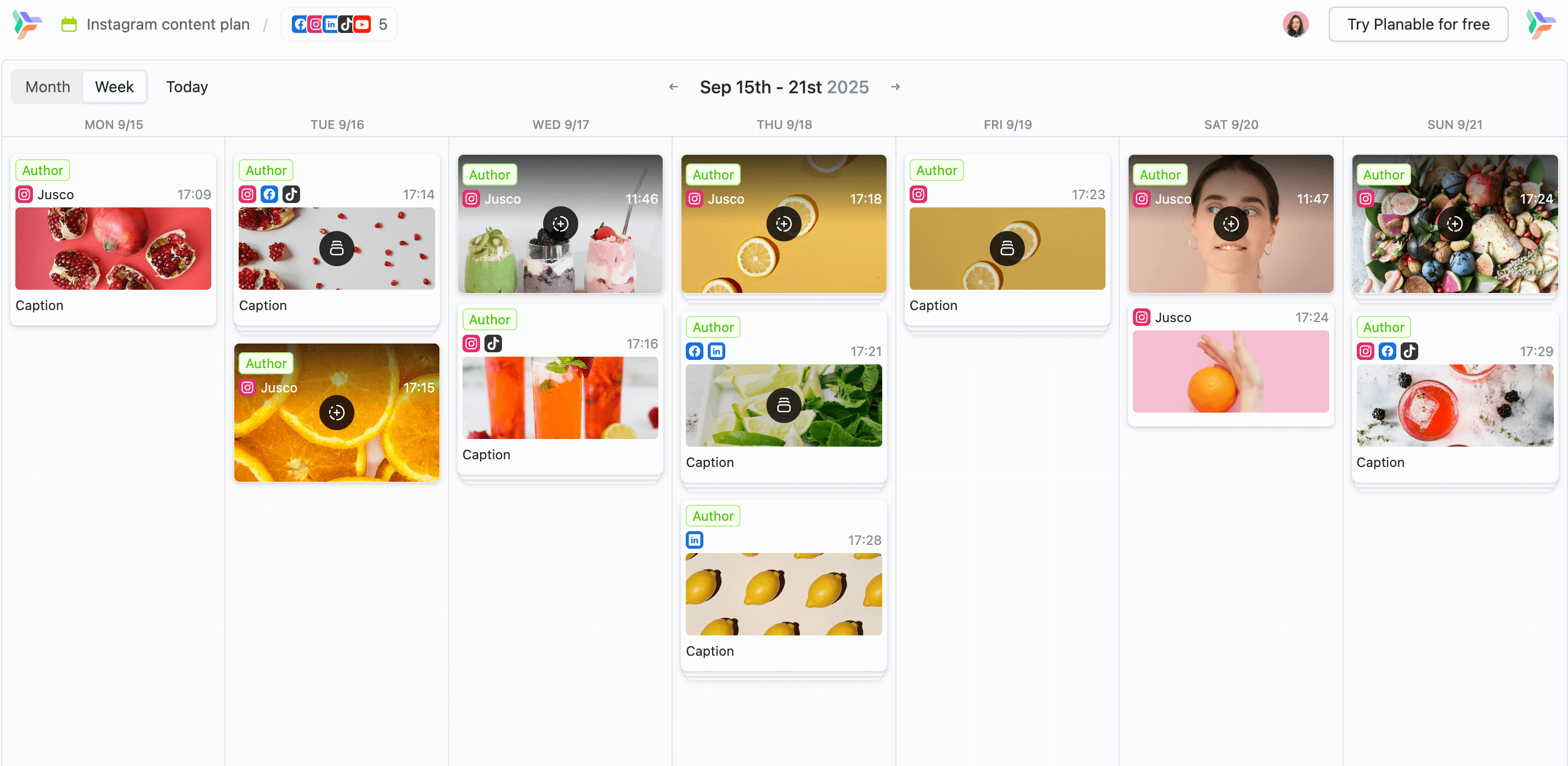 Weekly Instagram content plan in Planable from a guest view link.