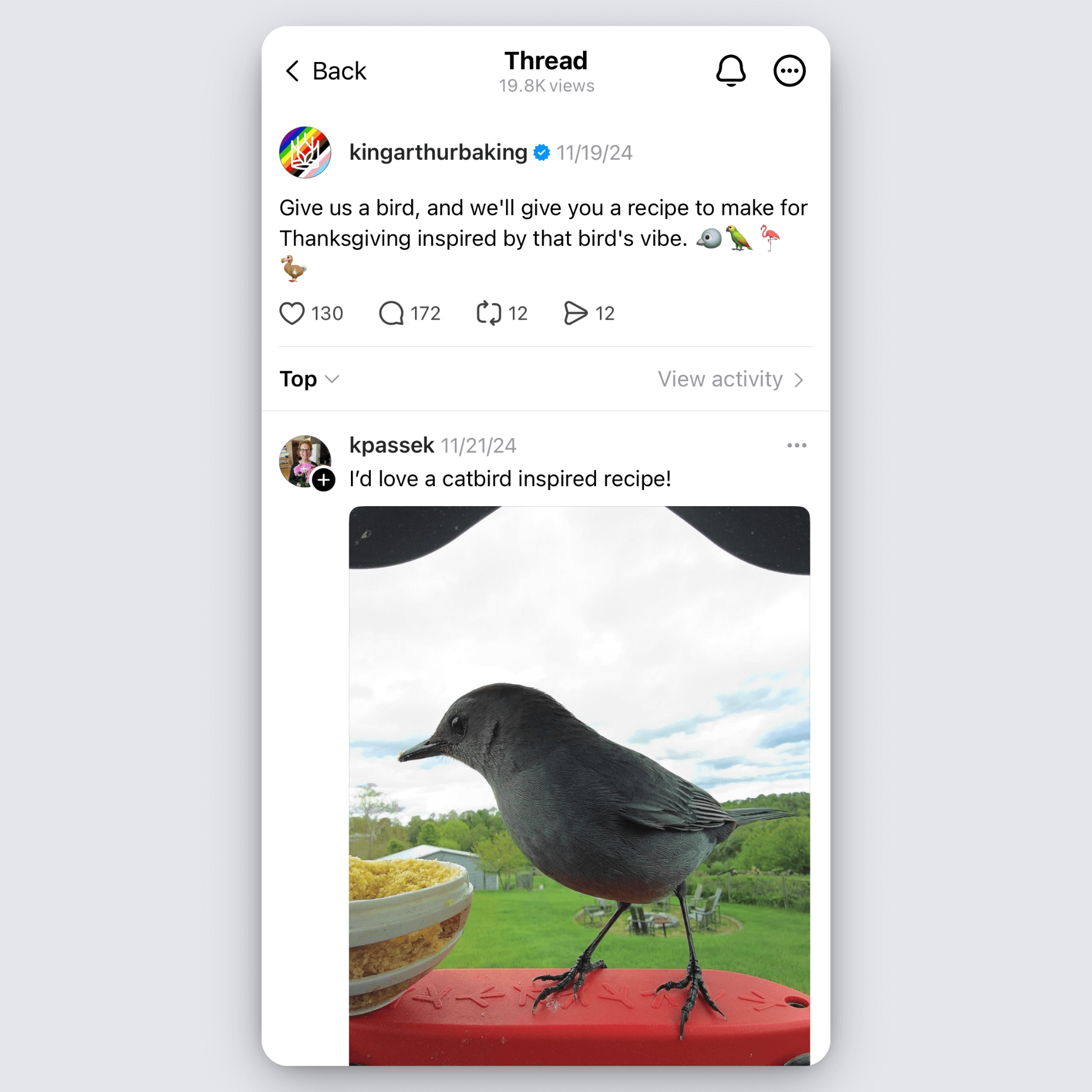 Thread post asking for bird-inspired Thanksgiving recipes with a catbird photo reply.