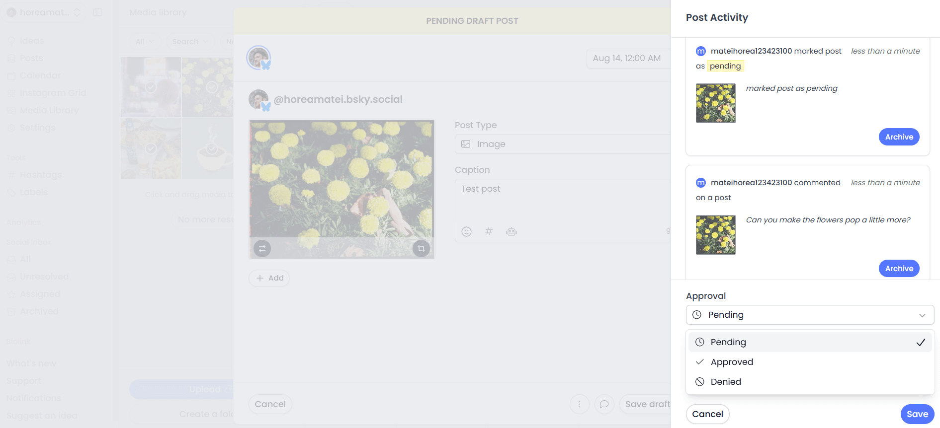 pallyy post approval screen showing yellow flowers image, caption box, and a comment suggesting edits