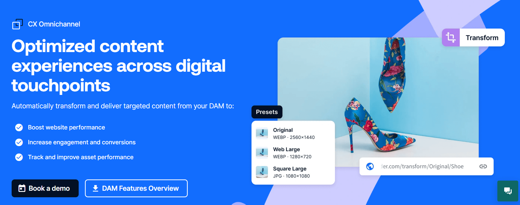 Digital asset manager tool displaying image transformation presets for content optimization.
