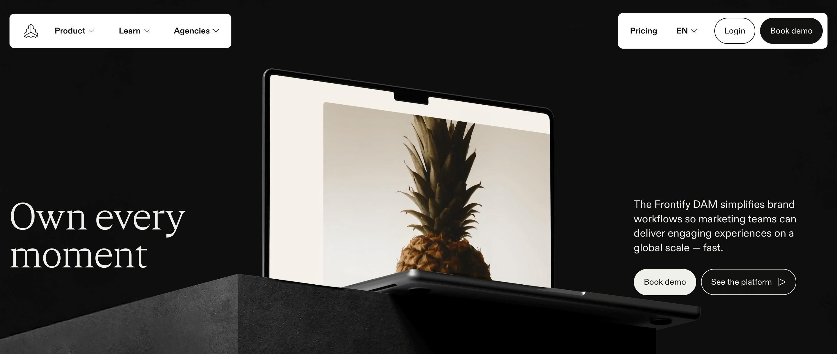 Frontify homepage featuring 3D laptop with pineapple image, promoting brand experience workflows.