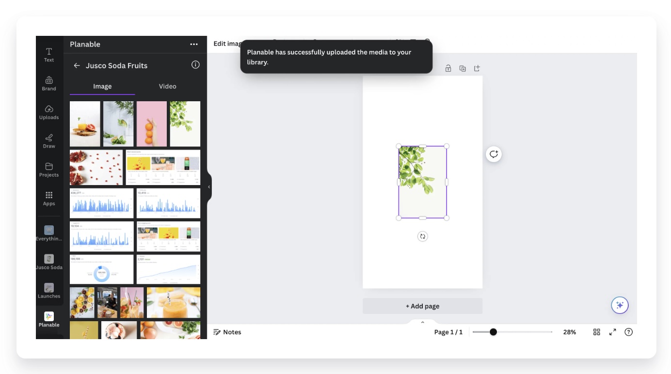 Planable media library in Canva showing uploaded images and dragging leafy design onto canvas editor