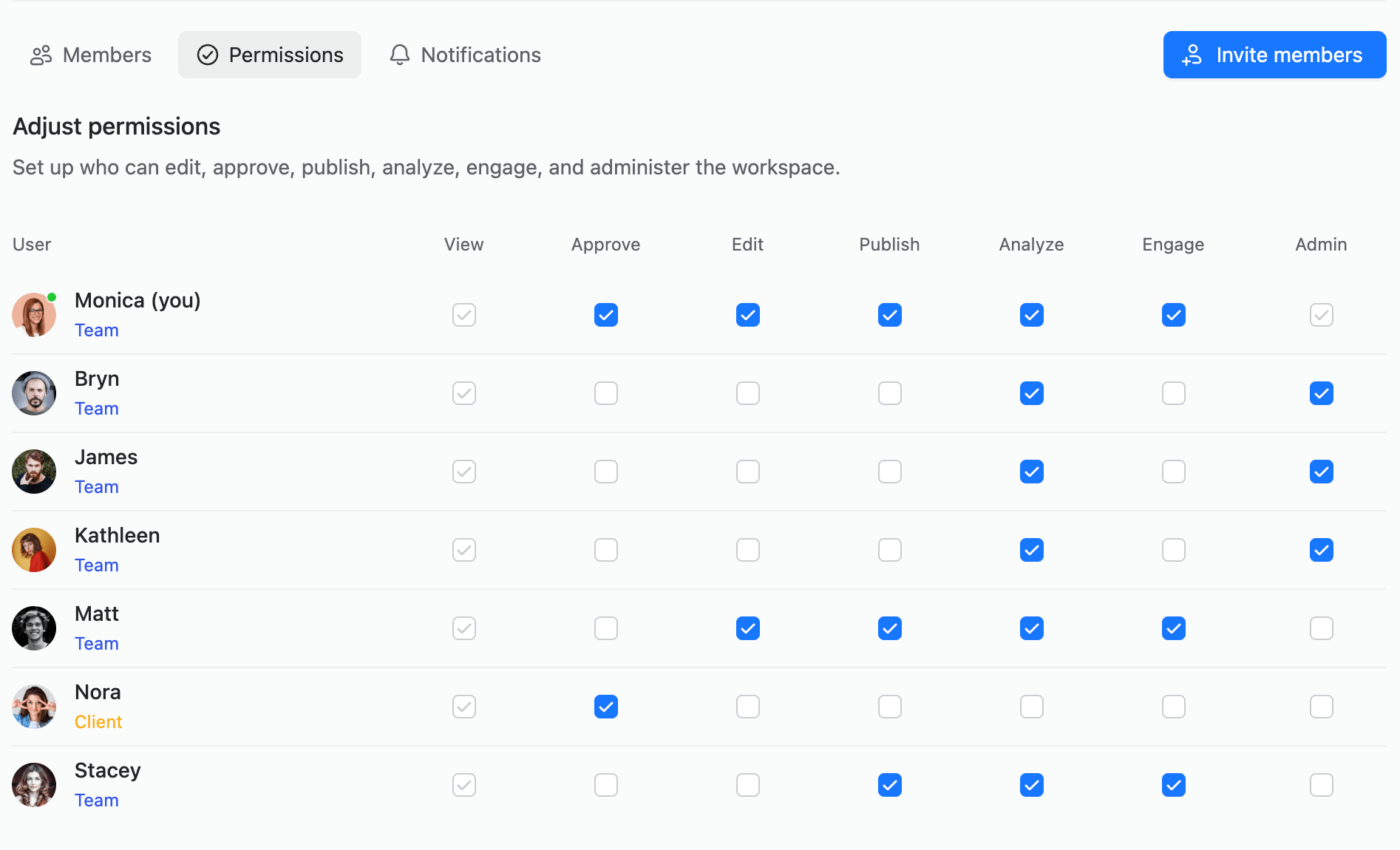 User permissions panel with roles and access checkboxes
