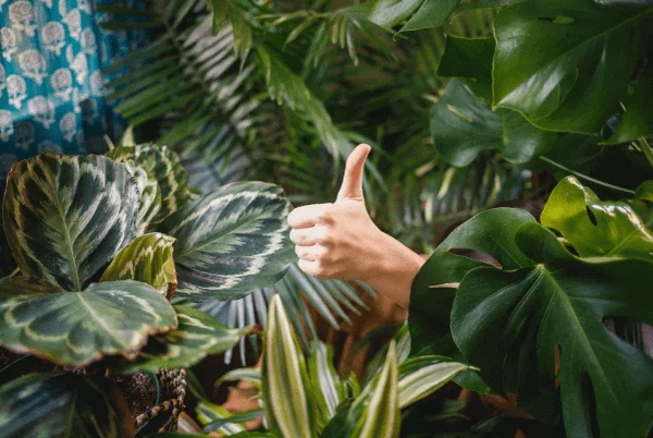 best social media campaigns had in nature showing thumbs up