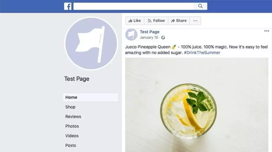 Facebook Test Page with one social media post