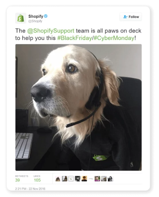 Shopify. All paws on deck commercial