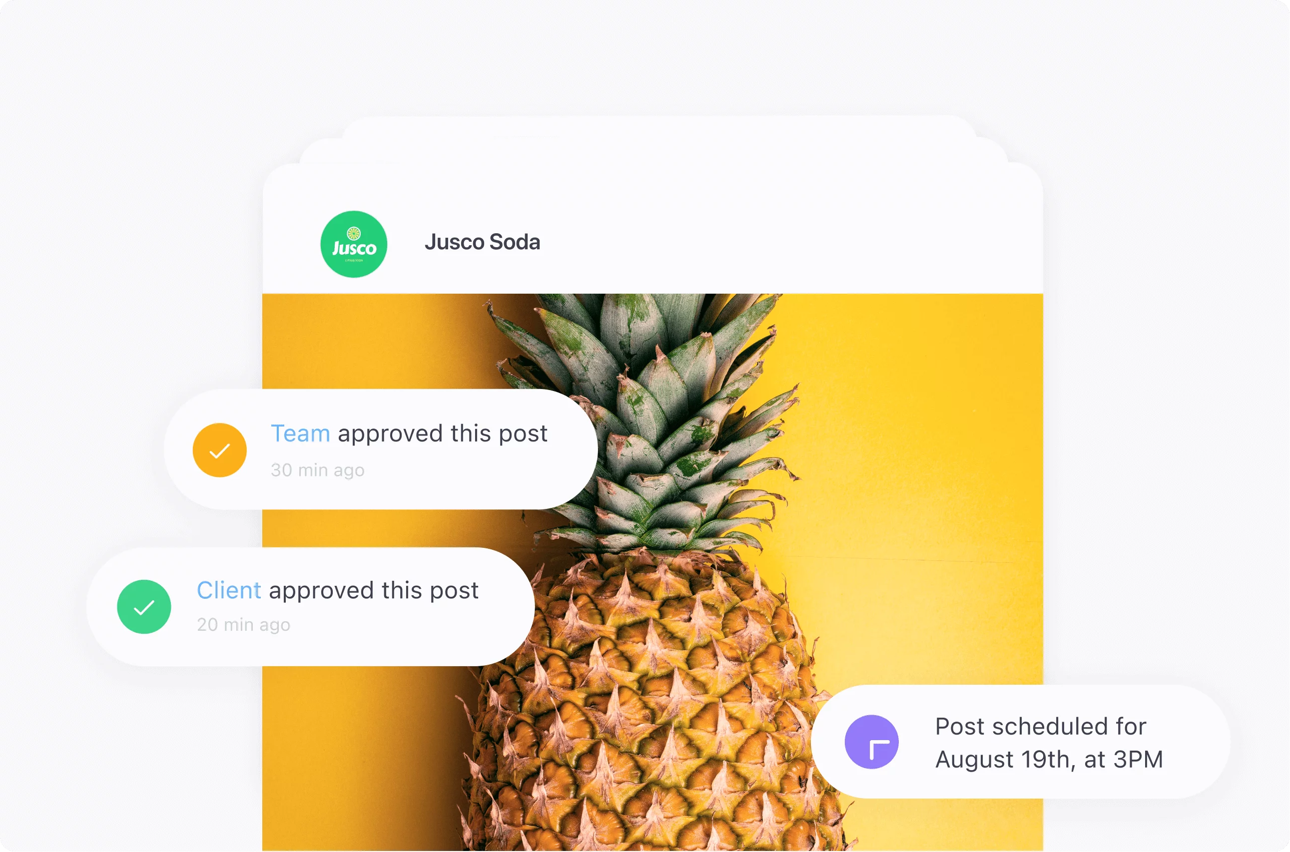 Visual post with multiple status updates: team approved this post, client approved this post, and post is scheduled for August 19th.