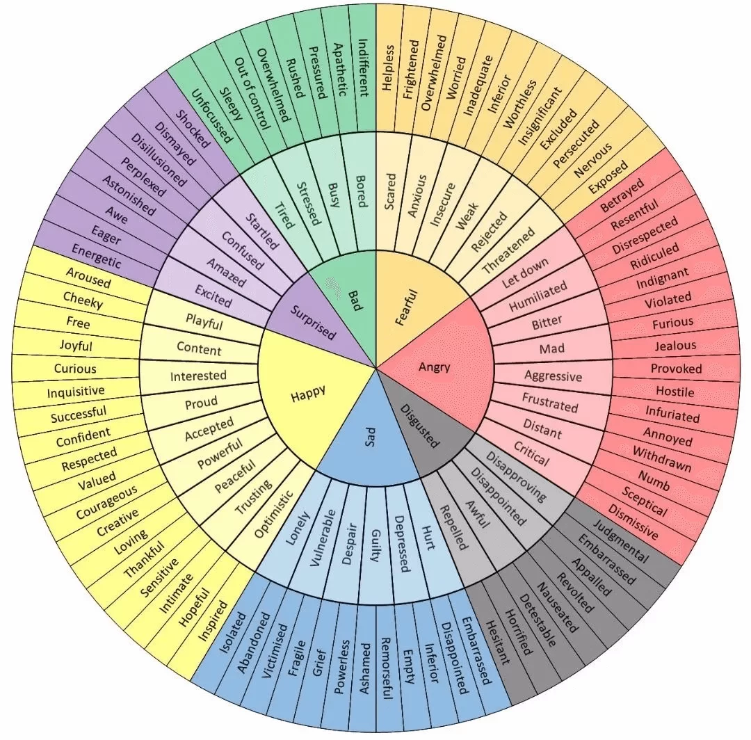 Color-coded wheel of emotions displaying various feelings categorized under happy, sad, angry, fearful, bad, surprised, and disgusted.