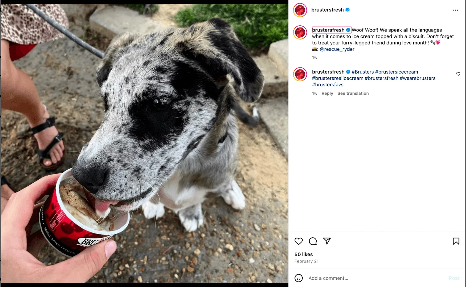 Bruster's Fresh highlights a dog enjoying ice cream topped with a biscuit in an engaging Instagram post.
