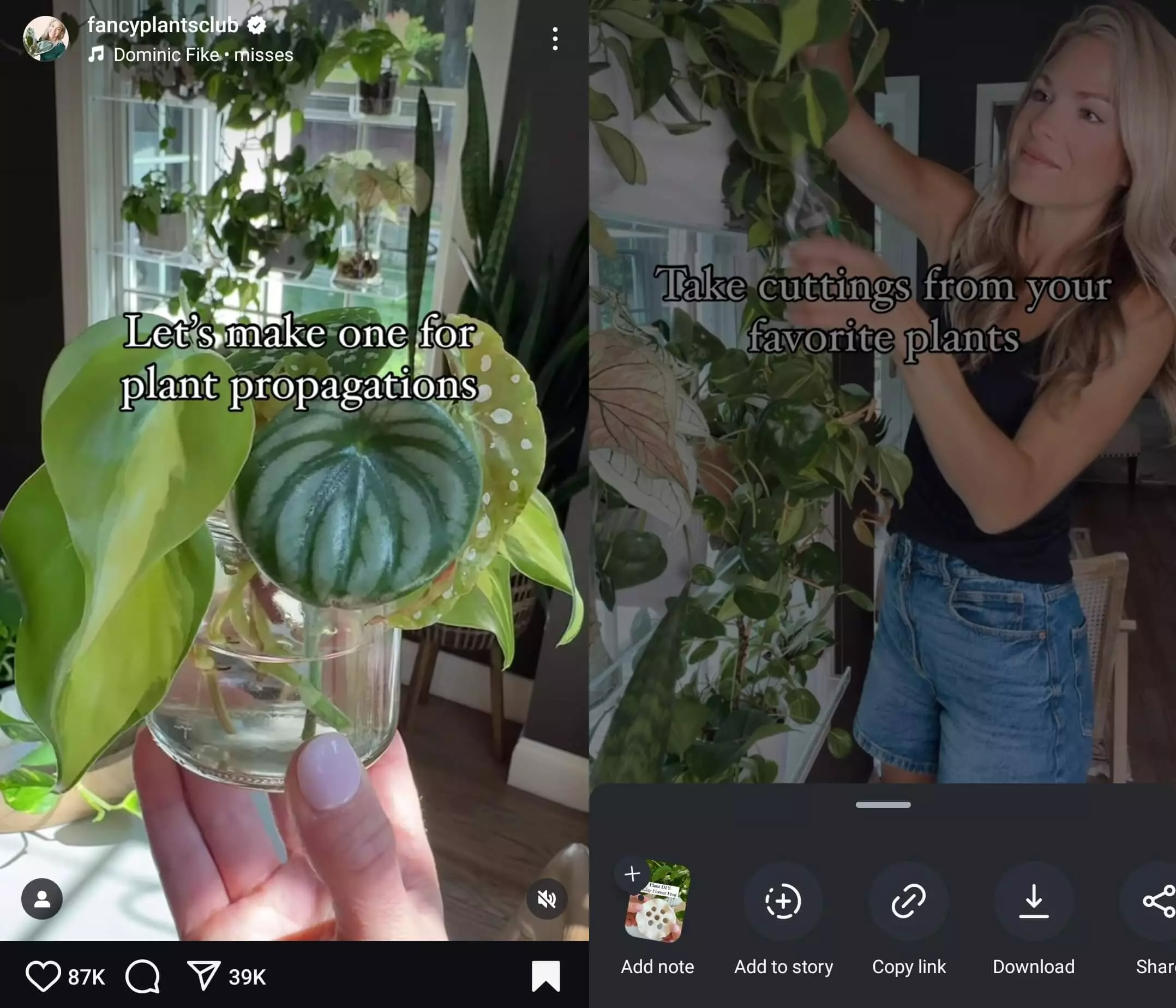 An IG reel of fancyplantsclub, showing a woman that takes plant cuttings to propagate, and showing a glass jar filled with cuttings of various houseplants for indoor gardening - and the option to Download the reel