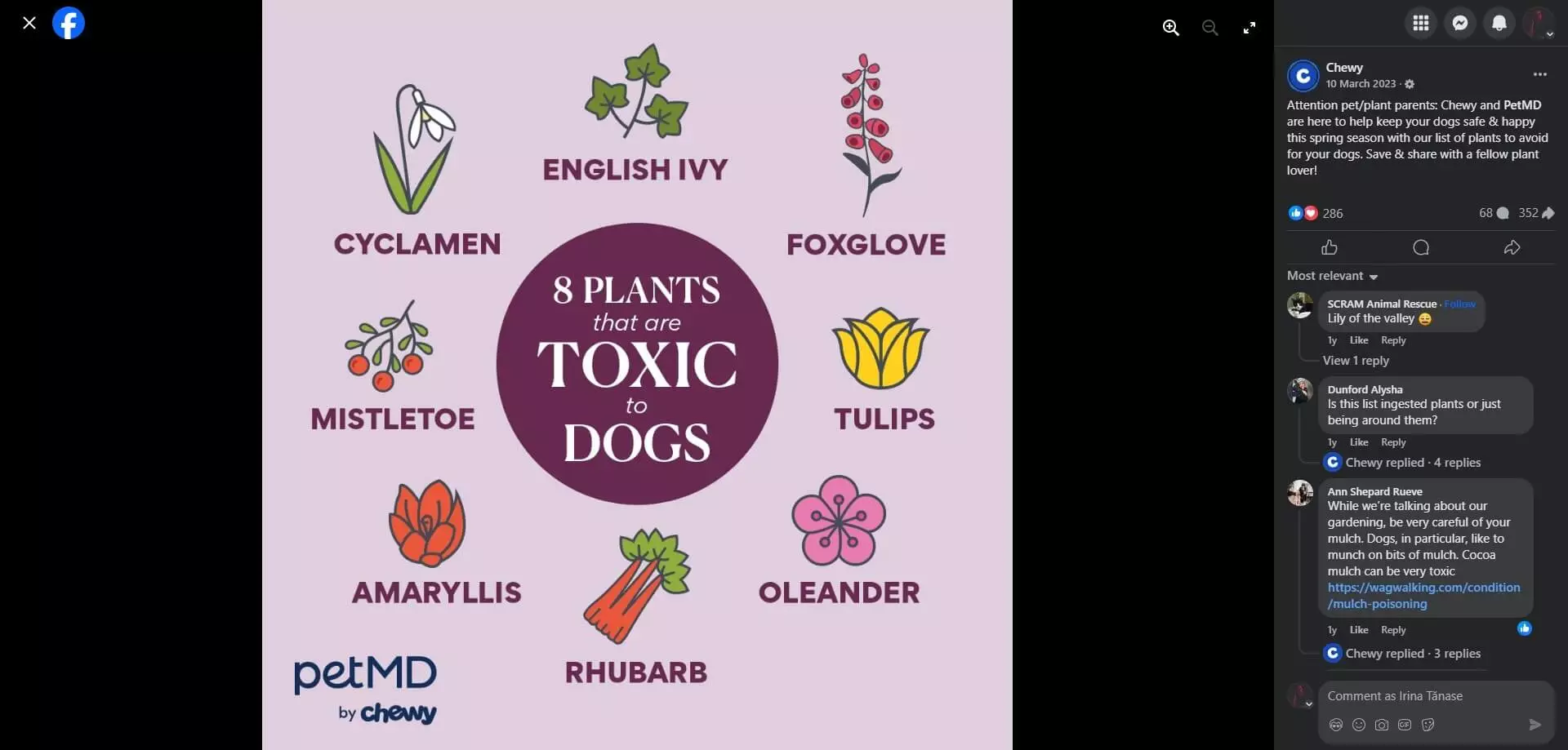 Chewy's Facebook post showing an ollustration of 8 plants toxic to dogs: cyclamen, English ivy, foxglove, tulips, mistletoe, amaryllis, rhubarb, and oleander.