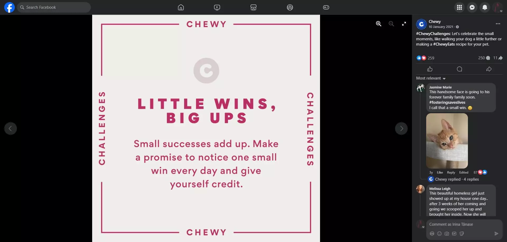 Chewy graphic with the text "Little Wins, Big Ups" encouraging recognition of small daily successes, framed in a minimalist design.