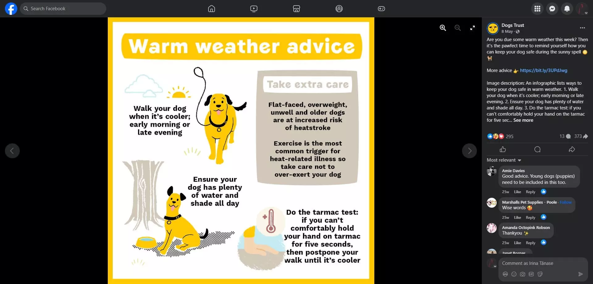 Dogs Trust's Facebook post showing an infographic with warm weather advice for dogs, including walking during cooler times, providing water and shade, and tarmac heat checks.