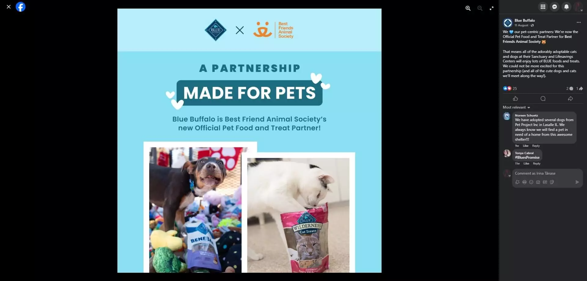 Blue Buffalo announces partnership with Best Friends Animal Society, featuring a dog with treats and a cat inspecting Blue Wilderness treats.