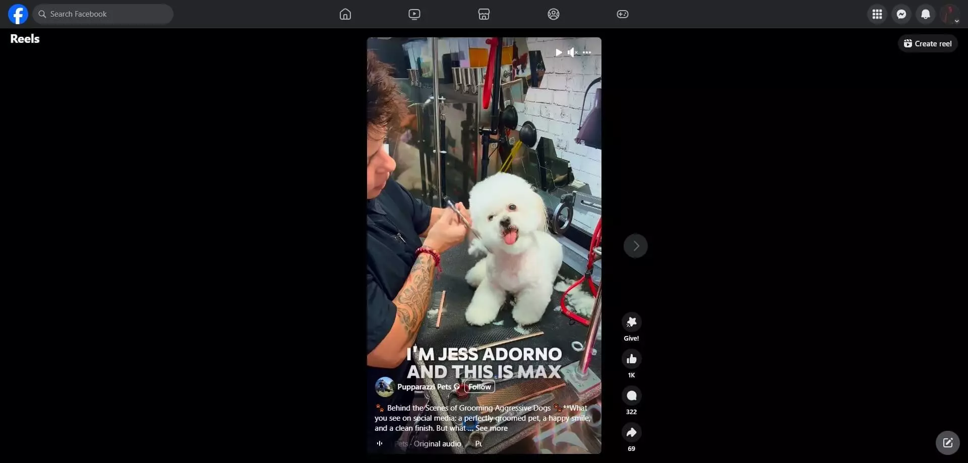 Puparazzi Pets's Facebook post with a dog groomer styling a white fluffy dog named Max, sitting on a grooming table with tools in the background.