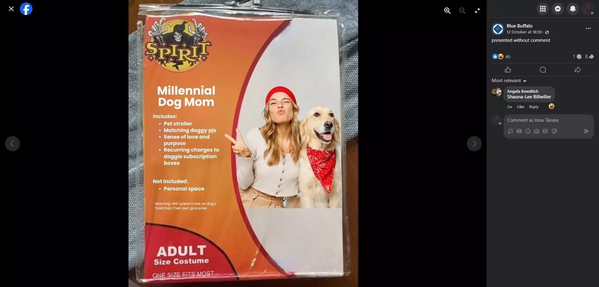 Blue Buffalo's Facebook post about the "Millennial Dog Mom" costume packaging featuring a woman in a red beanie and a Golden Retriever wearing a red bandana.