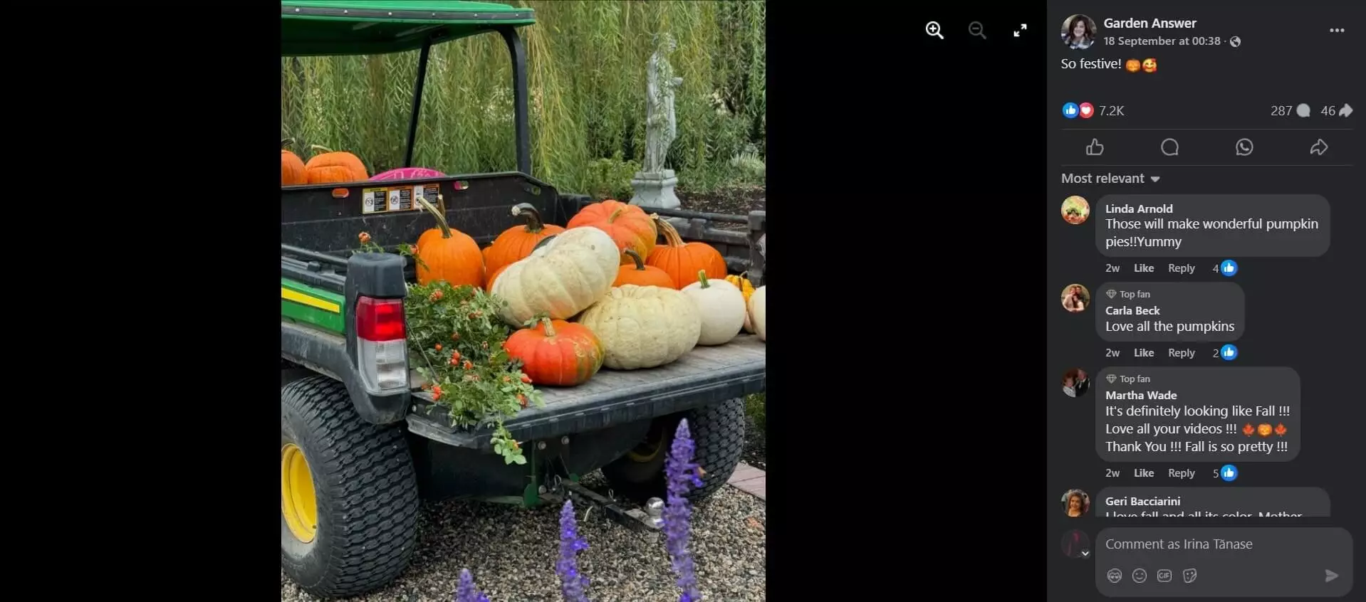 A utility vehicle filled with orange and white pumpkins, surrounded by a garden with lush greenery and purple flowers.