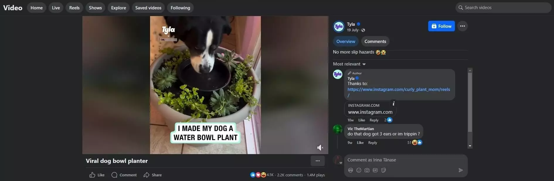 Video of a dog drinking from a water bowl surrounded by plants in a DIY planter, with the caption "I made my dog a water bowl plant."