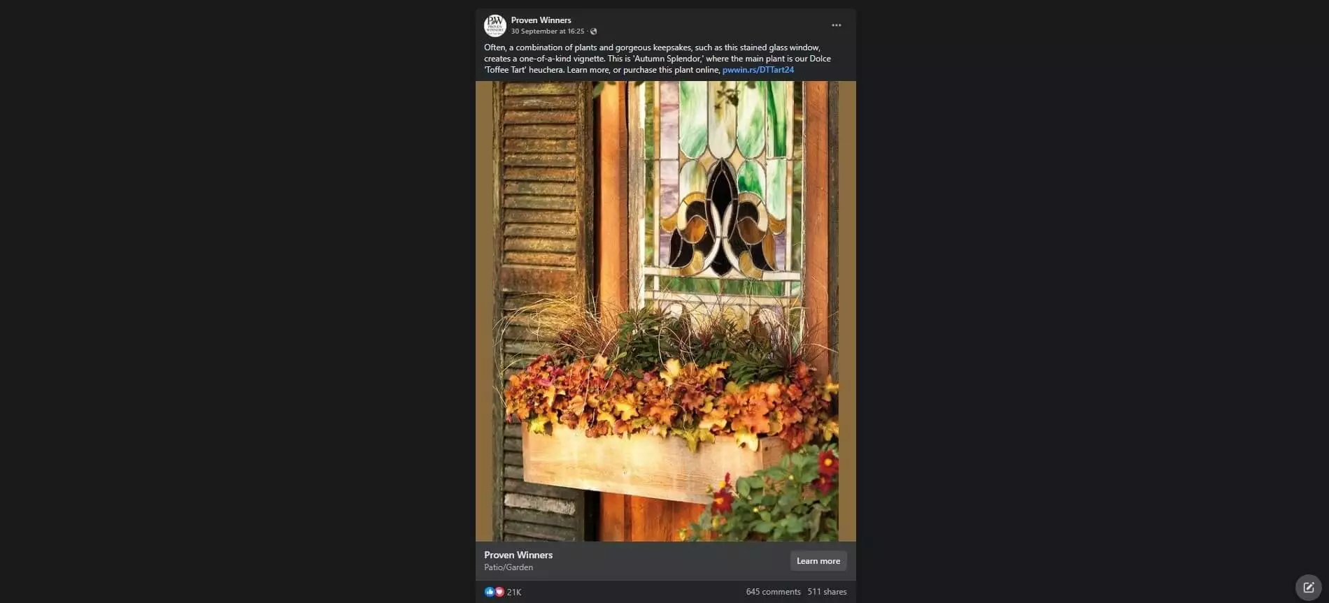 Decorative window box with autumn foliage plants, including Dolce 'Toffee Tart' heuchera, beneath a stained glass window.