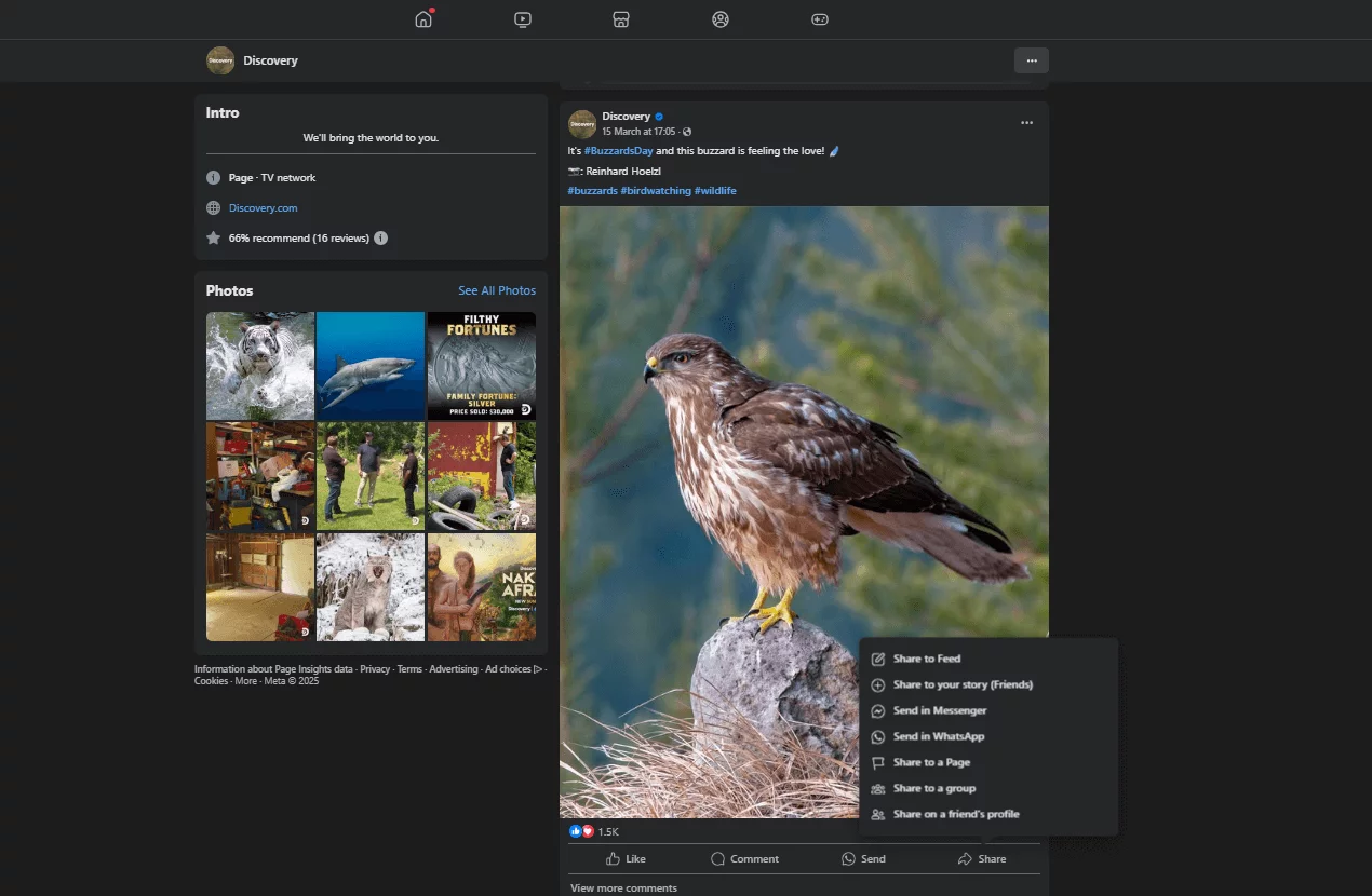 Buzzard on a rock in Discovery’s Facebook post with share to group option menu open