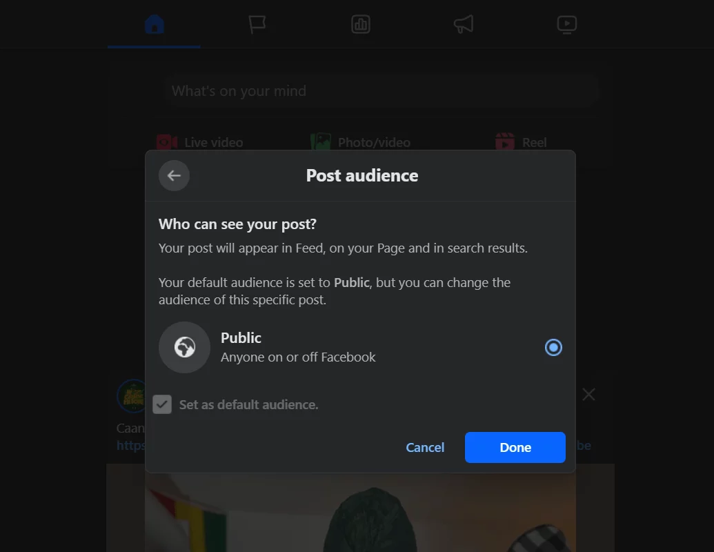 Facebook post audience settings window showing public as the selected visibility option