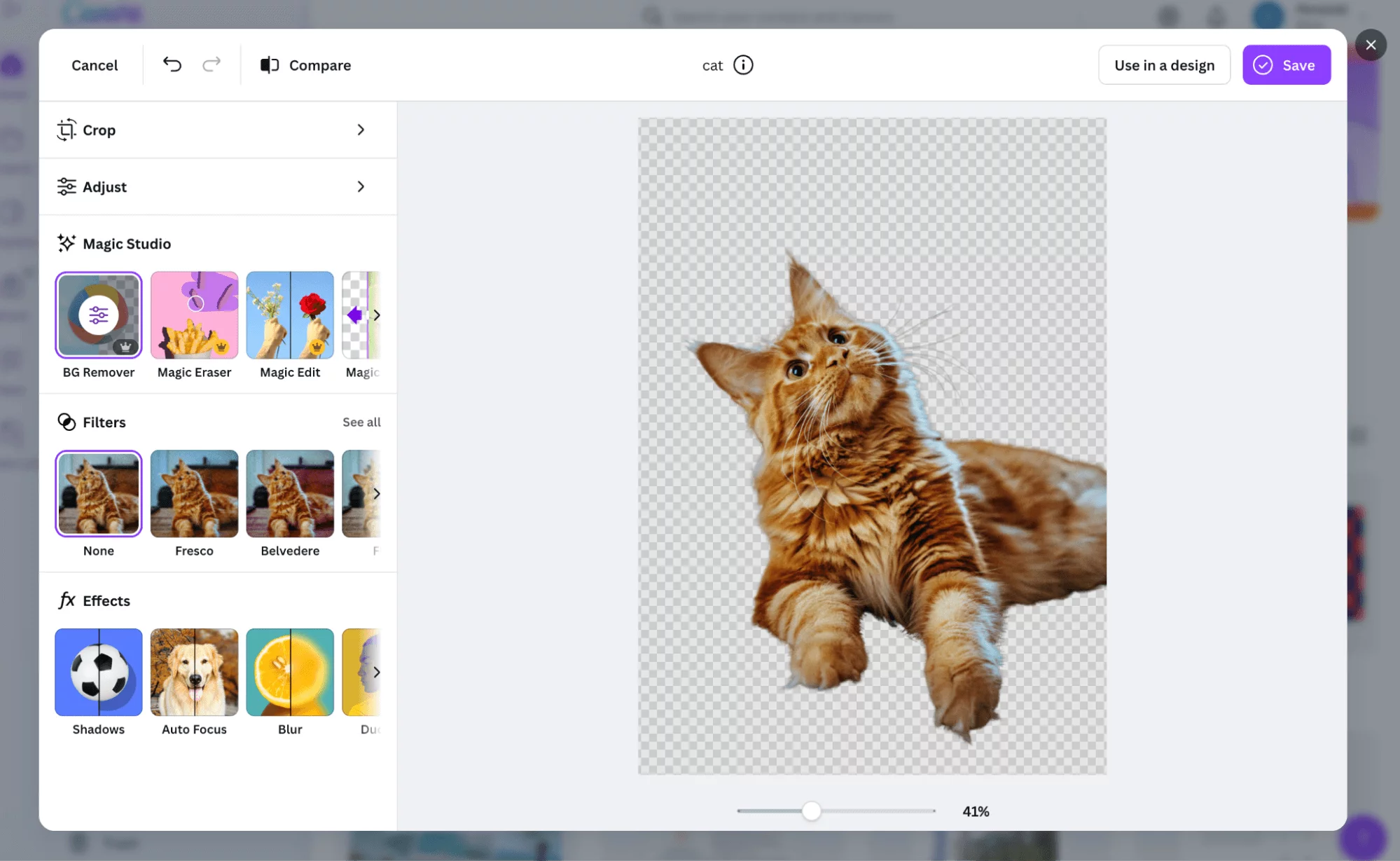 Background remover (BG remover) feature in Canva