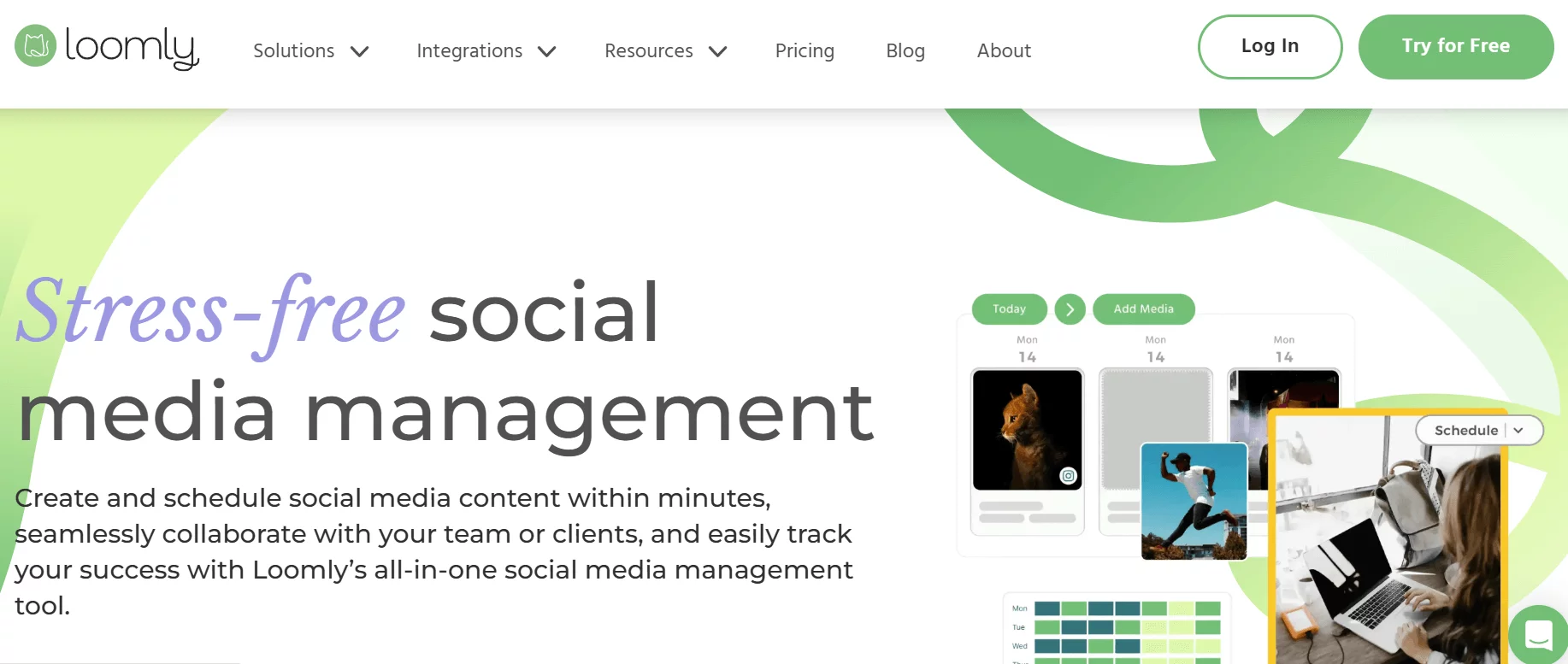 Loomly dashboard highlighting content scheduling with visual media and analytics tools.