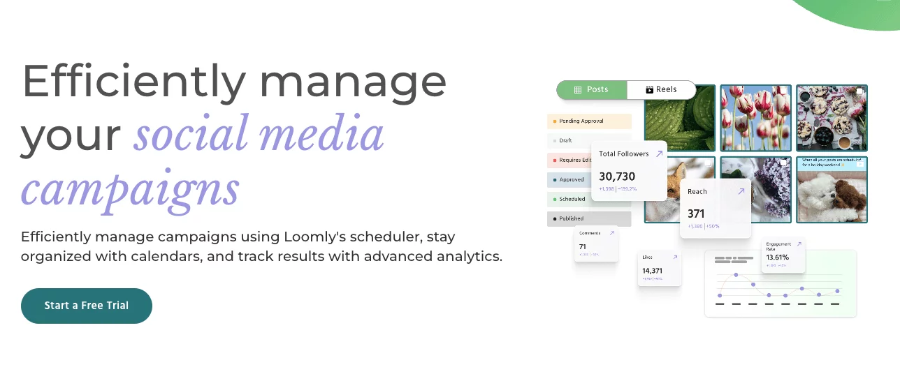 Loomly interface showing post types, analytics metrics like reach and followers, and visual content grid.
