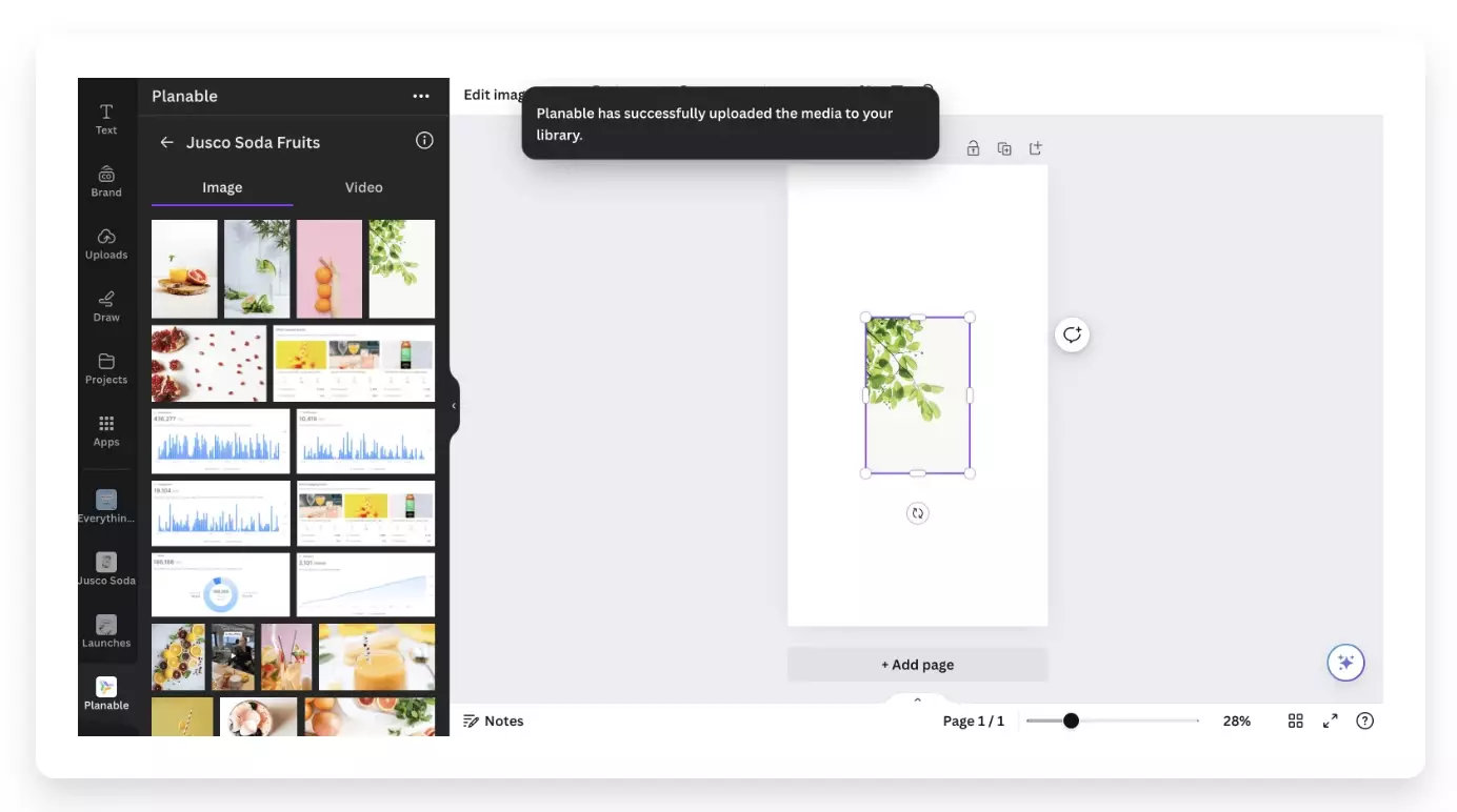 Planable media library in Canva showing uploaded images and dragging leafy design onto canvas editor